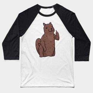 Grumpy Squirrel Holding Middle finger funny gift Baseball T-Shirt